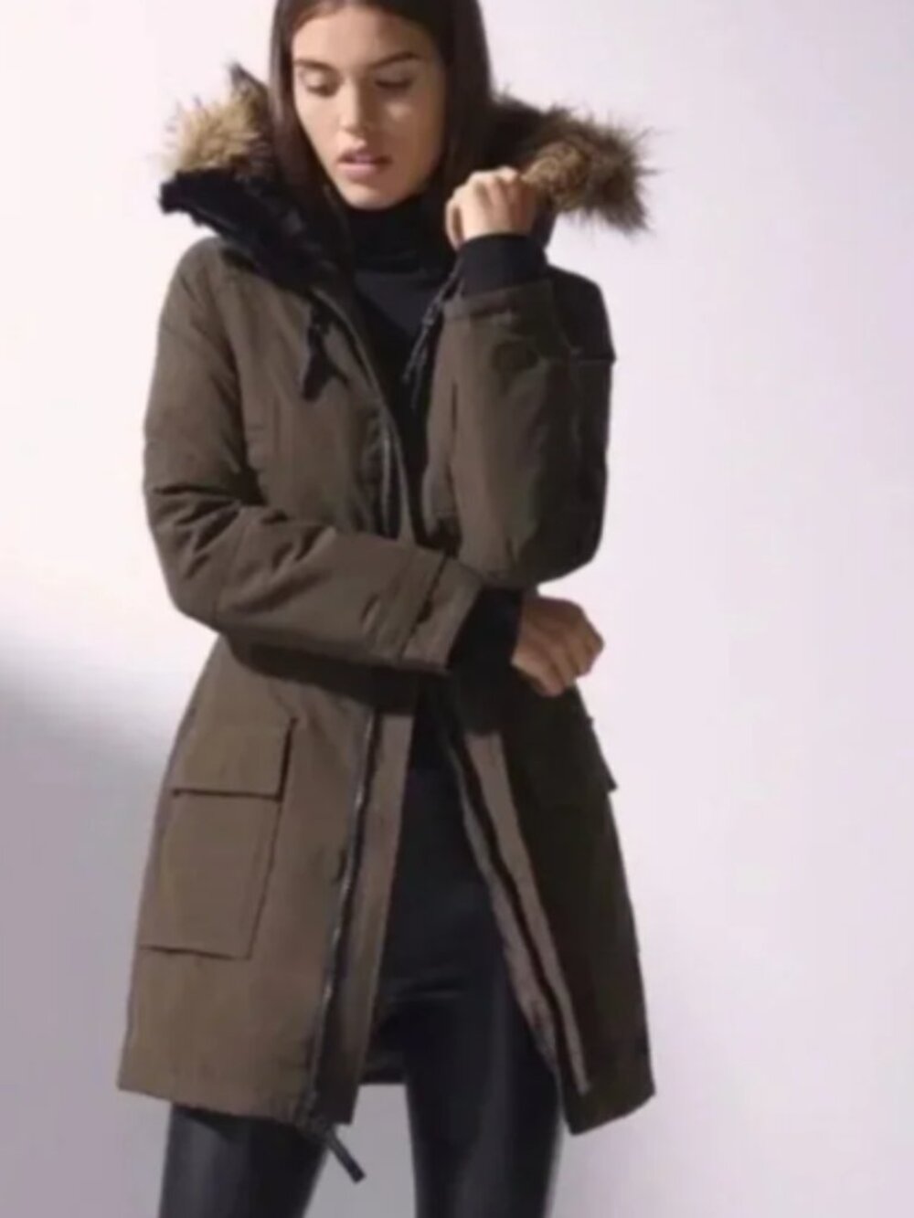 Aritzia Community Paradigm Down Parka